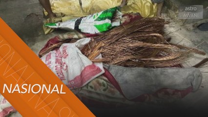Dua pengawal keselamatan komplot curi kabel TNB