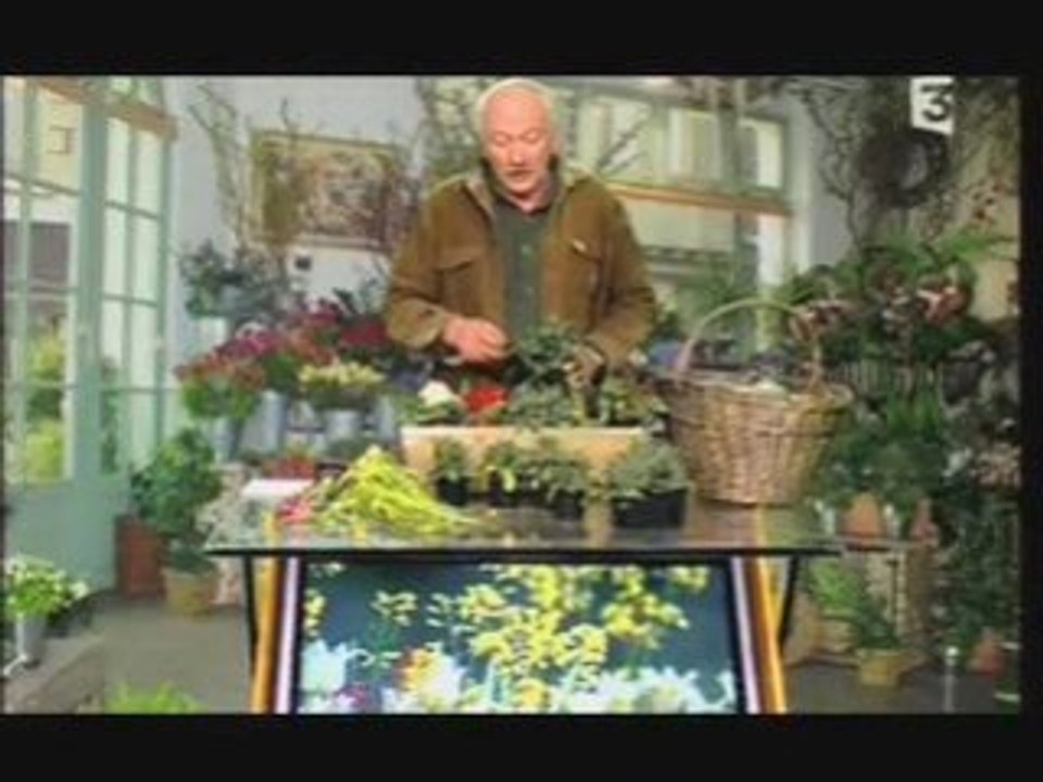 Planter des bisannuelles dans une jardiniere