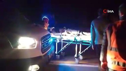 Şanlıurfa'da araçlar kafa kafaya çarpıştı: 4 yaralı