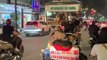 Siêu xe chở hàng chục chú cún xuất hiện ở Hà Nội