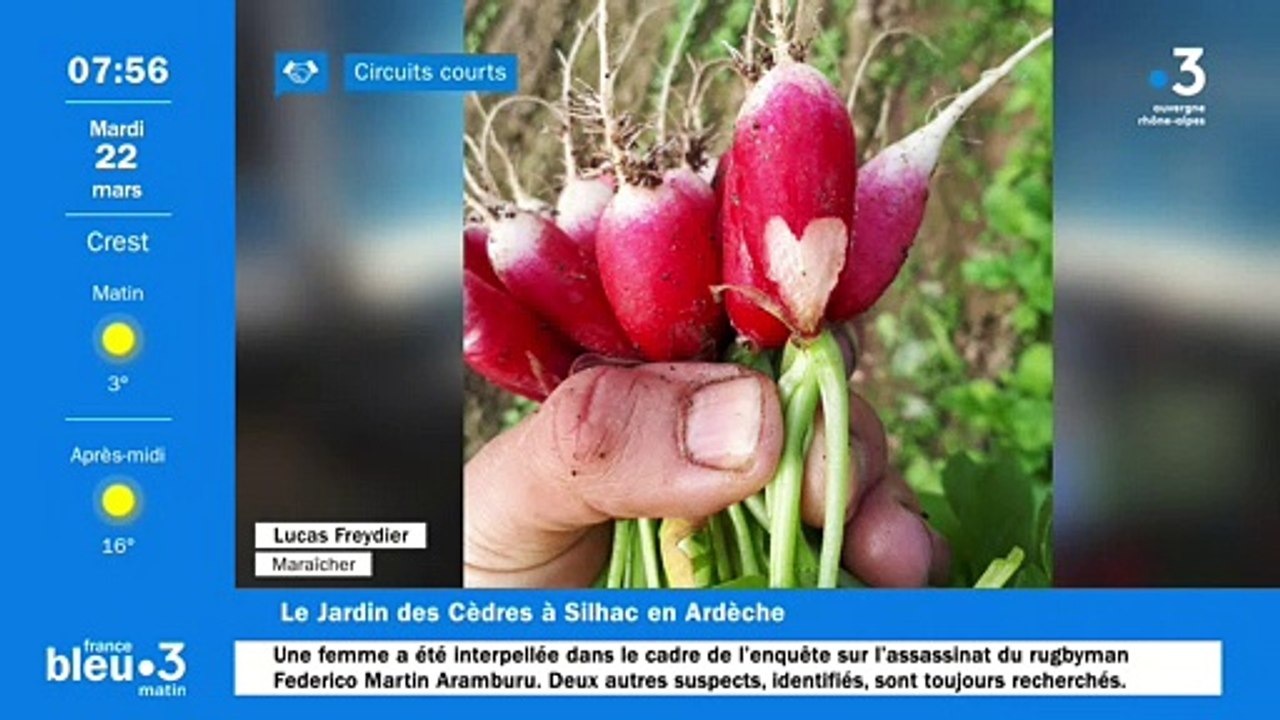 À Silhac, Le Jardin des Cèdres, ses plants, légumes bio et produits transformés