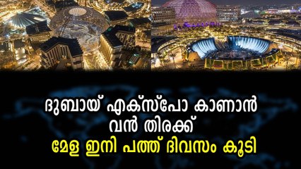 ദുബായ് എക്‌സ്‌പോ കാണാൻ വൻ തിരക്ക് മേള ഇനി പത്ത് ദിവസം കൂടി
