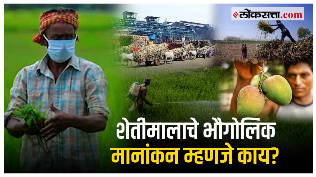 शेतीमालाच्या भौगोलिक मानांकनाचा शेतकऱ्यांना काय फायदा?