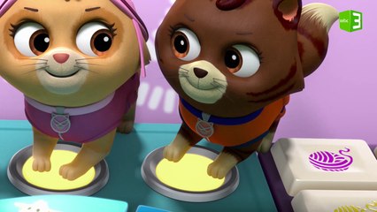 ماذا فعلت القطط بآلة قص صوف الخراف؟