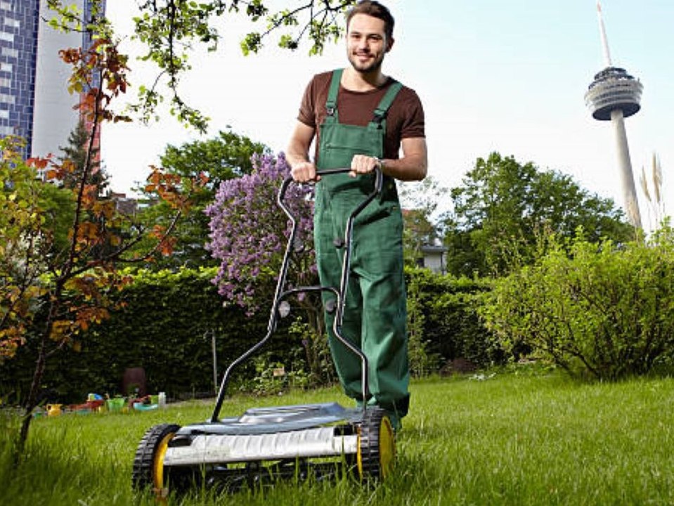 Gartenpflege: Vier Tipps für einen schönen Rasen