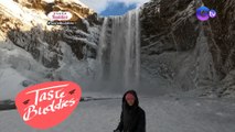 Taste Buddies: Virtual Iceland adventure on 'Taste Buddies!'
