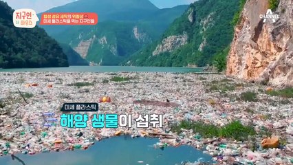 ※합성 섬유 세탁의 위험성※ 빨면 빨수록 미세 플라스틱 발생! 결국 우리 밥상으로?