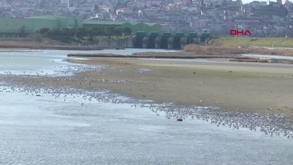 BALIKÇI VE TEKNE SAHİPLERİNDEN TAŞKIN HAZIRLIĞI
