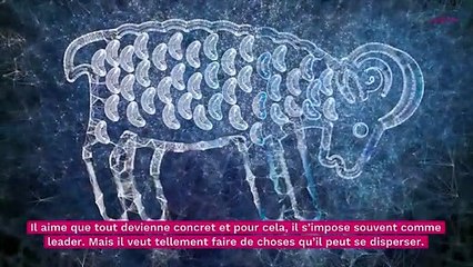 Astro : avec quel signe le Bélier est-il le plus compatible ?