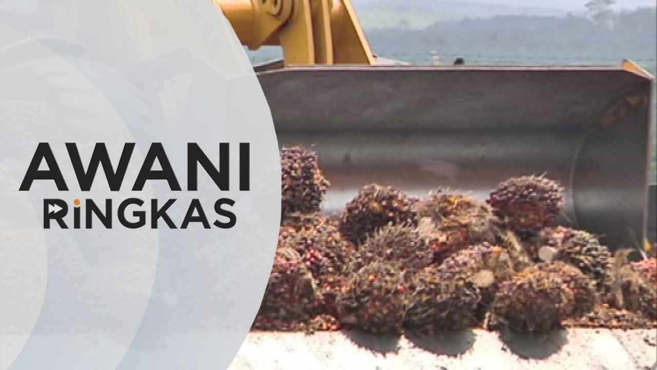 AWANI Ringkas: Sawit: Kerajaan yakin WTO akan berlaku adil | Kumpulan penasihat COVID-19 ditubuhkan