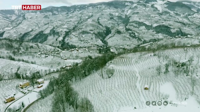 Ordu'da kar esareti: Araçlar kar altında kaldı, çatılar çöktü