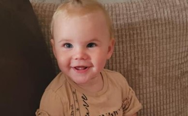 Seventeen-month-old girl tragically killed in dog attack in St Helens