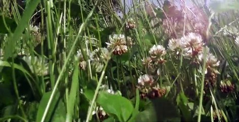 Macro Worlds S01 E02