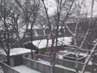 Snow...snow...so much snow!