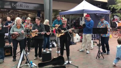 Ballarat Ukulele song on the 'toilet paper crisis'