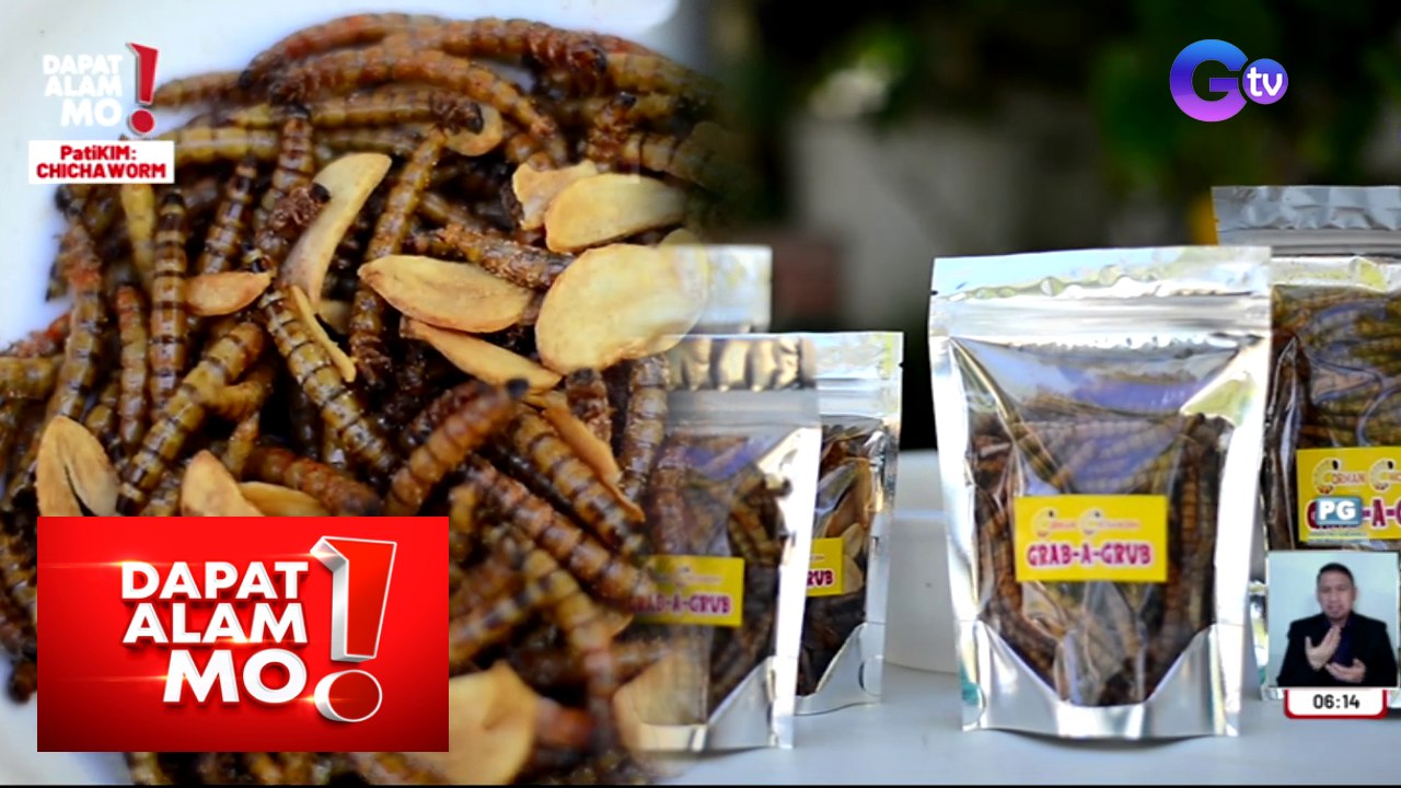 Dapat Alam Mo!: Superworms to chichaworms, kakasa ka ba sa exotic food na ito?
