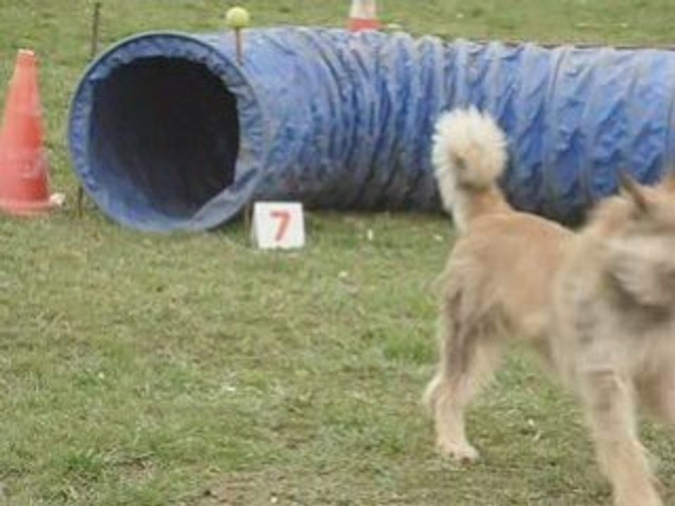 Agility_0001
