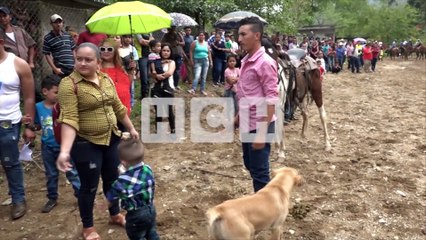 #HCHTradiciones Con carrera de cintas a caballo celebran feria patronal en San José de Tarros, Santa Bárbara