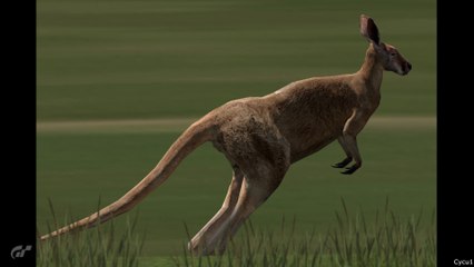 Kangaroos Easter Egg found in Gran Turismo 7
