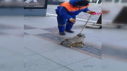 TEMİZLİK İŞÇİSİNİN YAVRU KÖPEKLE OYNADIĞI ANLAR, SOSYAL MEDYADA İLGİ GÖRDÜ