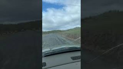 Massive Idaho Elk Herd Crosses the Road
