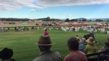 Country Championships Final