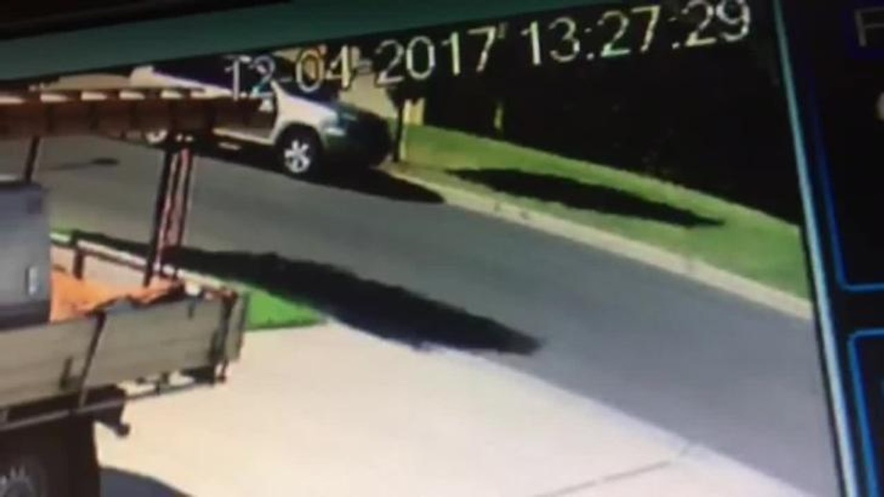 The Daily Advertiser | Toothless bandit terrorising Wagga