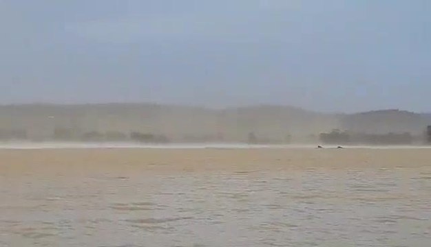 Daily Advertiser - Wild winds whip Wagga