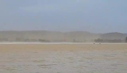 Daily Advertiser - Wild winds whip Wagga