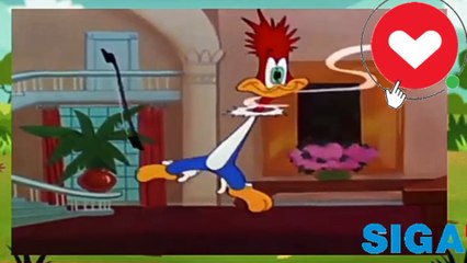 Pica Pau em O Fila Bóia