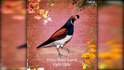 Deniz Mahir Kartal - Qele Qele