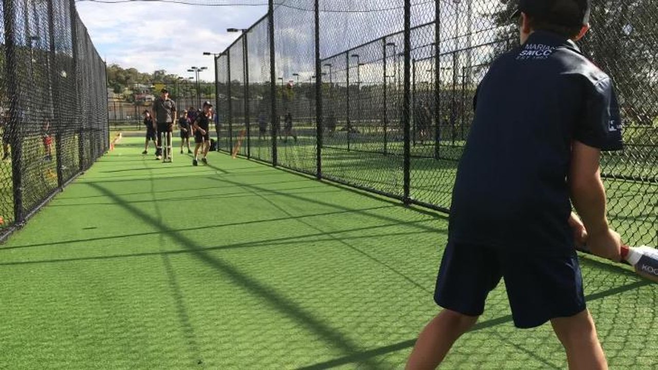 In the nets (2)
