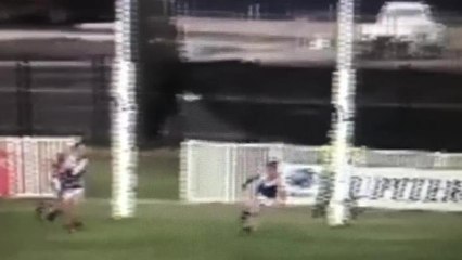 Wagga Tigers coach Shaun Campbell's bump