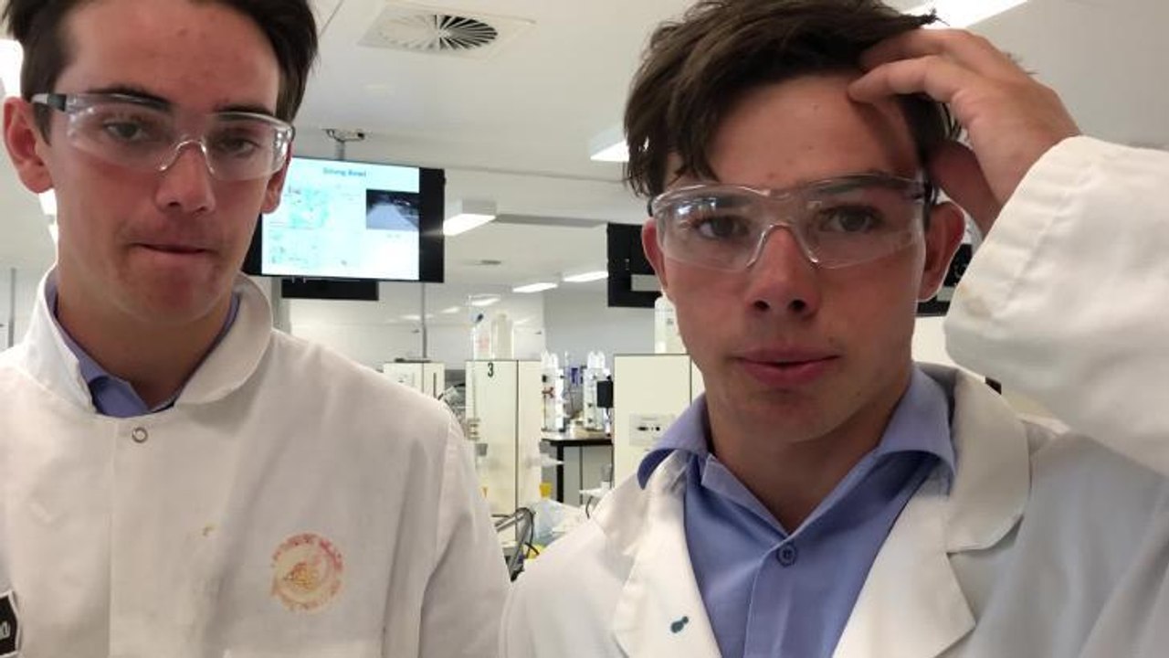 Students talk science