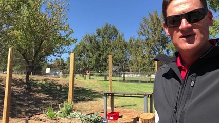 Sensory garden at Wagga High