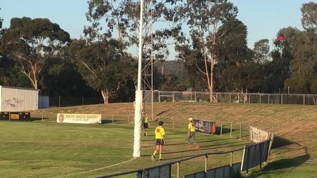 Griffith goal