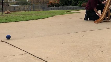 Wagga High School boccia team
