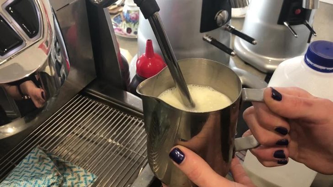 Insta Feed Coffee in a Cone