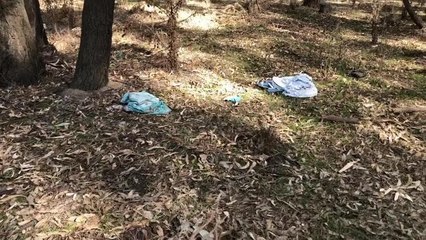 Daily Advertiser - Illegal dumping near Eunony Bridge