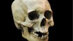 Histoire : quelles sont les différences entre Homo sapiens et l’homme de Neandertal ?