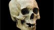 Histoire : quelles sont les différences entre Homo sapiens et l’homme de Neandertal ?