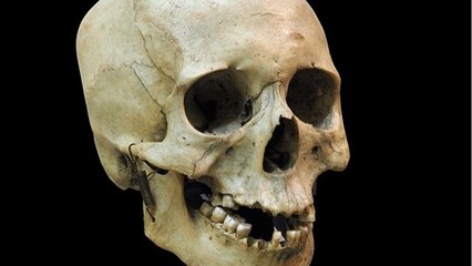 Histoire : quelles sont les différences entre Homo sapiens et l’homme de Neandertal ?