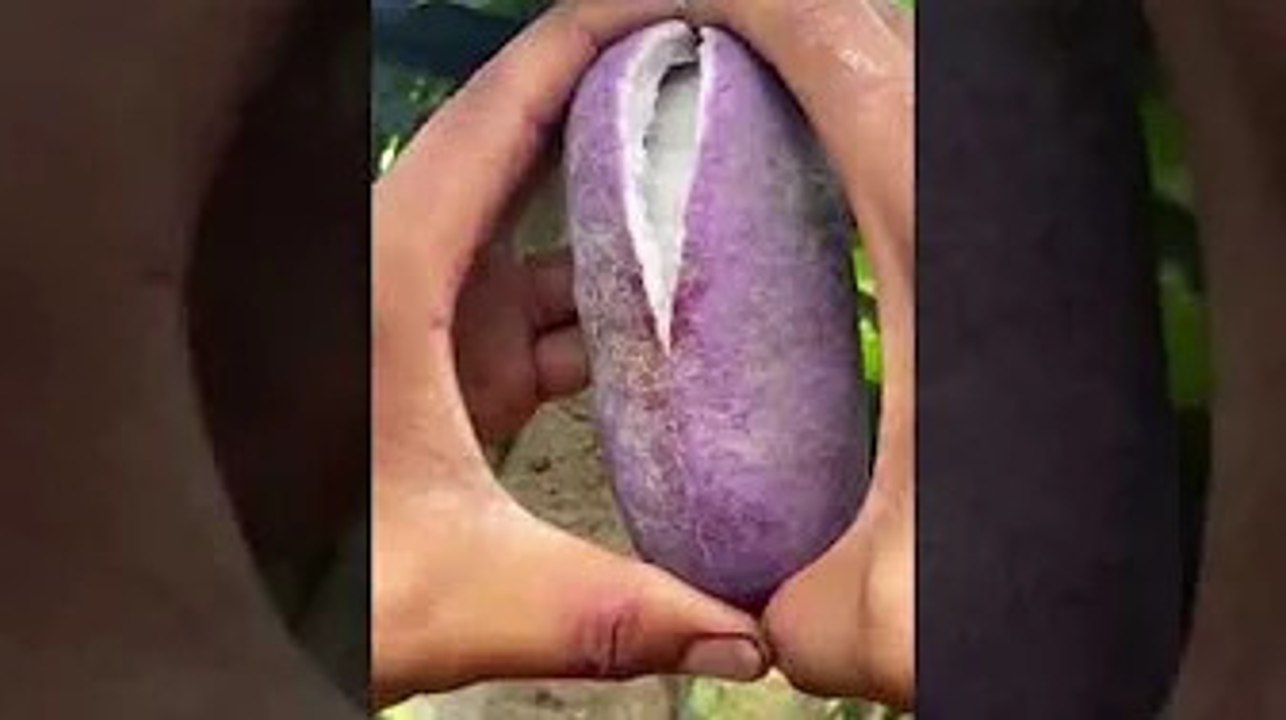 fruit