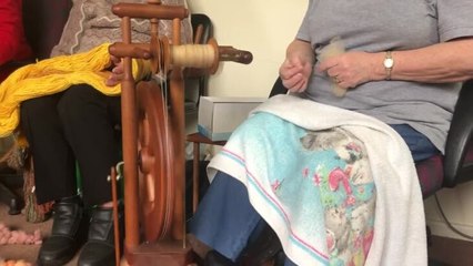 Wagga Handweavers and Spinners Guild