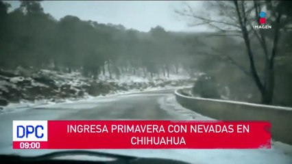 Ingresa primavera con nevadas en Chihuahua