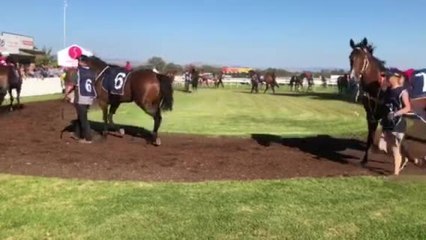 Country Championships field