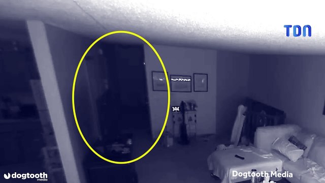 Filmé par une caméra de surveillance, un «fantôme» effraie des chats