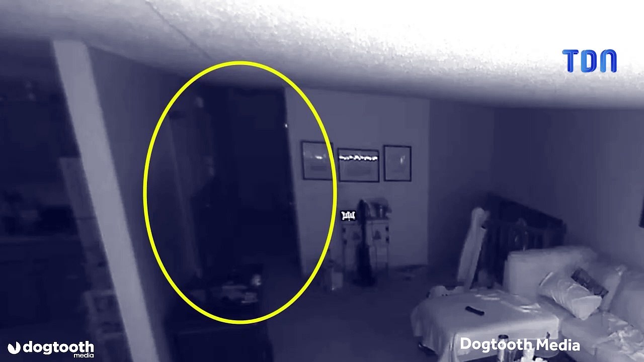 Filmé par une caméra de surveillance, un «fantôme» effraie des chats