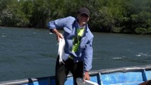 León: Realizan III torneo de pesca deportiva en estero del Río El Tamarindo