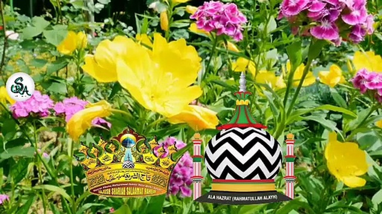 #NABI SALLALLAHU ALAIHIWASSALLAM SE MOHABBAT